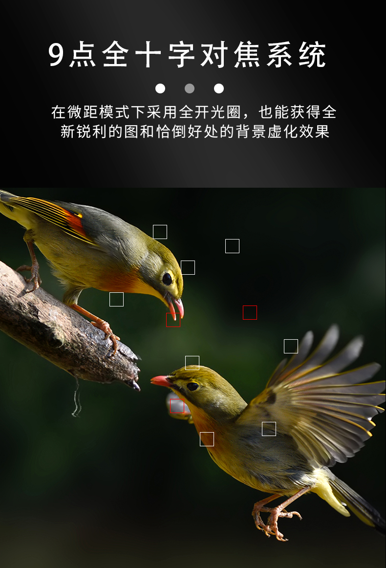 防爆相機Excam1805對焦模式